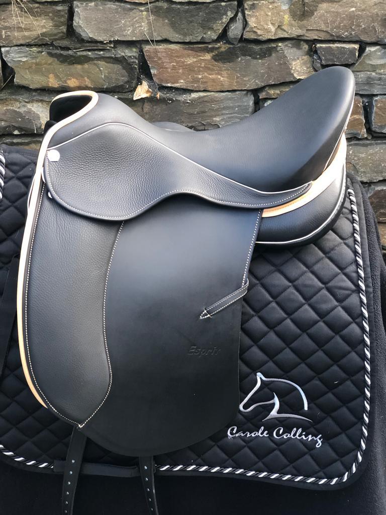 Sommer Esprit DS Piping Champagne 17.5"