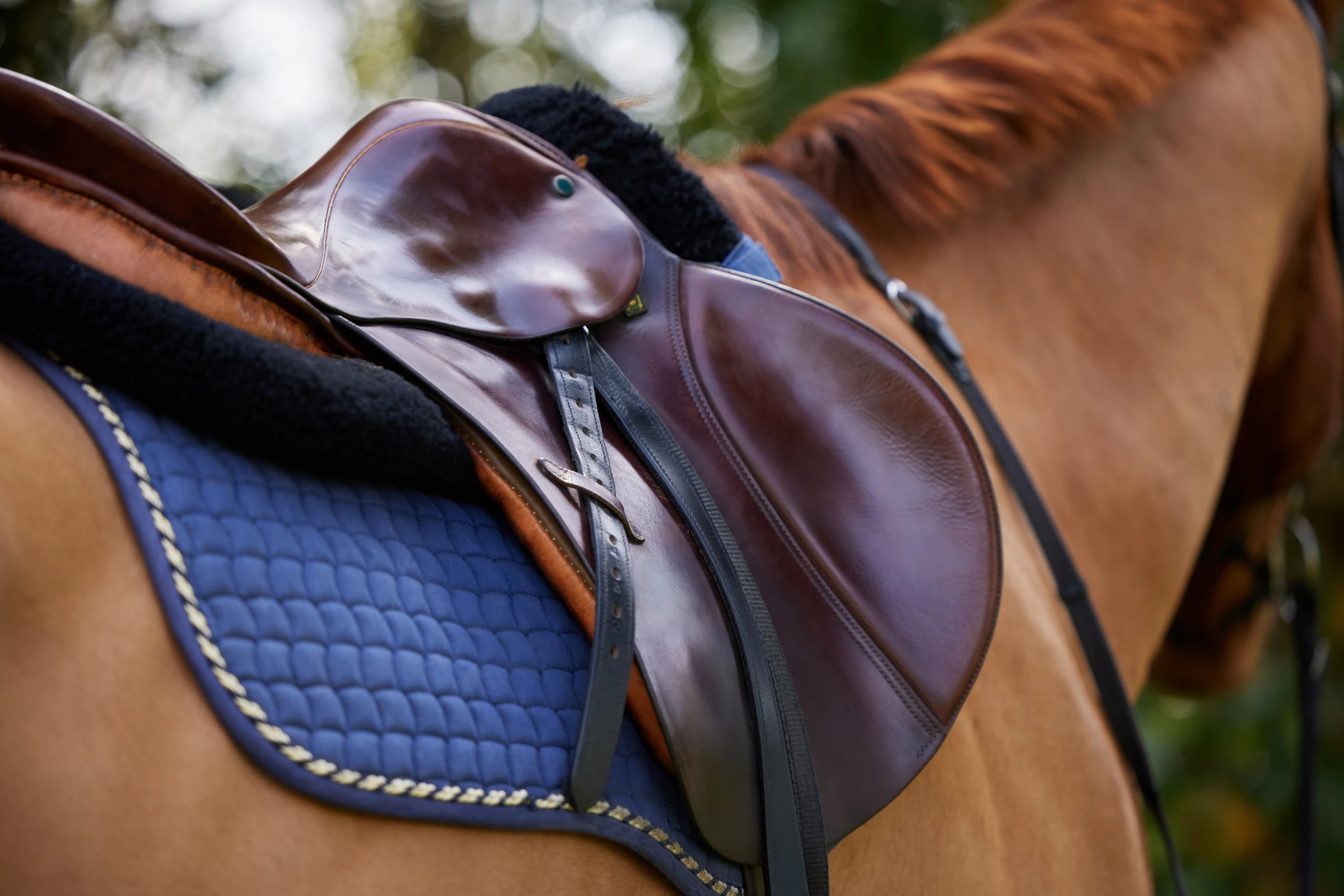 Premium-Sattel auf chestnutbraunem Pferd mit navyblauer Schabracke | Pferdesattel Shop Luxemburg